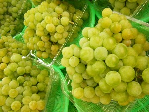2009/08/29 -���T�̔����ł�-_11