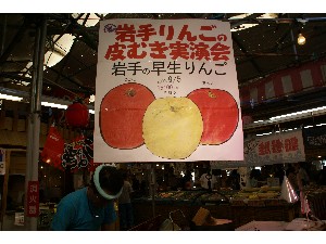 20090905 -��񂲂̔�ނ�����-_20