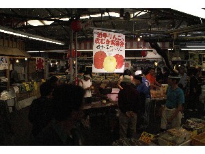 20090905 -��񂲂̔�ނ�����-_28