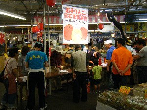 20090905 -��񂲂̔�ނ�����-_18