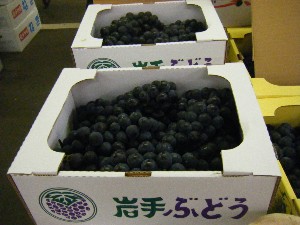20090912 -���T�̔����ł�-_29