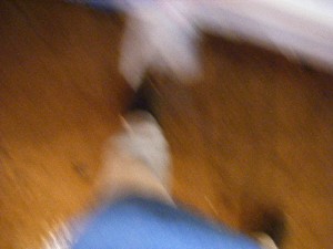 20090919 -���̎q�`���U�镑��-_1