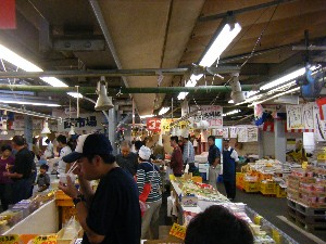 20090919 -���̎q�`���U�镑��-_13