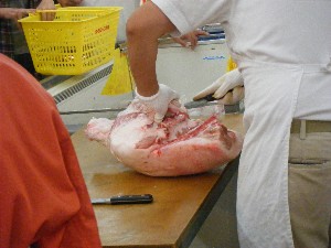 20090923 -�ؓ���̎���������-_8