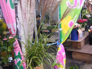 20091003 -���T�̔����ł�-_2