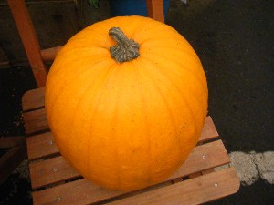 20091003 -���T�̔����ł�-_22