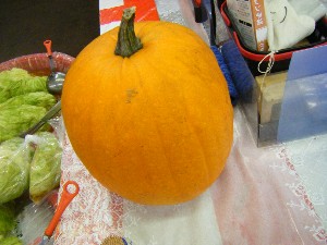 20091003 -���T�̔����ł�-_34