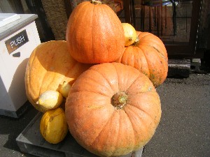20091010 -���T�̔����ł�-_8