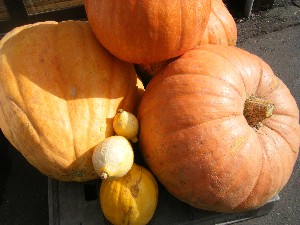 20091010 -���T�̔����ł�-_9