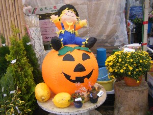 20091017 -���T�̔�����s��-_25
