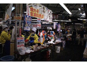 20091017-18 -�Ă��J�L�̎����̔���-_30