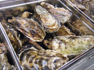 20091017-18 -�Ă��J�L�̎����̔���-_7