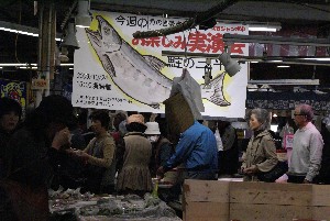 20091024 -���̎O���`�̎�����ł�-_15