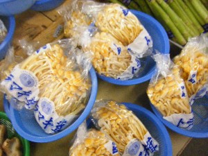 20091031 -�{���̏o�i��i�ł�-_3
