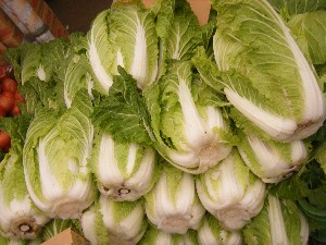 20091031 -�{���̏o�i��i�ł�-_8