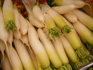 20091031 -�{���̏o�i��i�ł�-_12