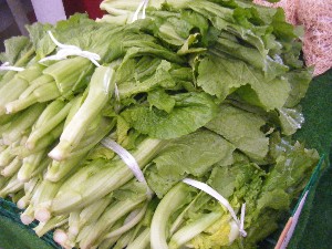 20091031 -�{���̏o�i��i�ł�-_13