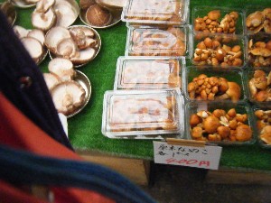 20091031 -�{���̏o�i��i�ł�-_16