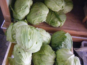20091031 -�{���̏o�i��i�ł�-_19