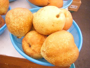 20091031 -�{���̏o�i��i�ł�-_20