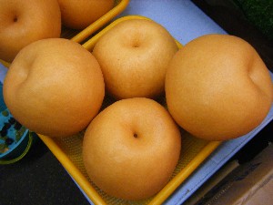 20091031 -�{���̏o�i��i�ł�-_21