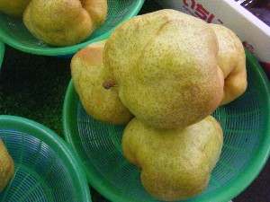 20091031 -�{���̏o�i��i�ł�-_22