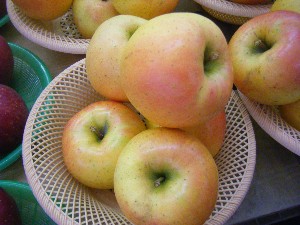 20091031 -�{���̏o�i��i�ł�-_24