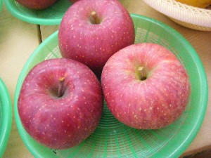 20091031 -�{���̏o�i��i�ł�-_25