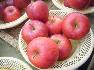 20091031 -�{���̏o�i��i�ł�-_26