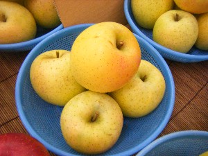 20091031 -�{���̏o�i��i�ł�-_27