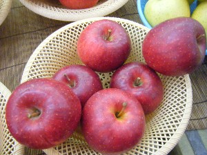 20091031 -�{���̏o�i��i�ł�-_28