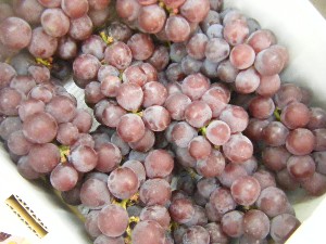 20091031 -�{���̏o�i��i�ł�-_30