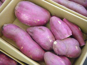 20091031 -�{���̏o�i��i�ł�-_33