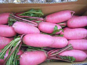 20091031 -�{���̏o�i��i�ł�-_35