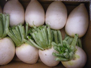 20091031 -�{���̏o�i��i�ł�-_36