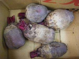 20091031 -�{���̏o�i��i�ł�-_37