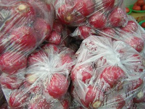 20091031 -�{���̏o�i��i�ł�-_38