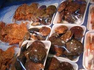 20091031 -�{���̏o�i��i�ł�-_45