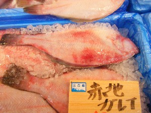 20091031 -�{���̏o�i��i�ł�-_46