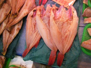 20091031 -�{���̏o�i��i�ł�-_47