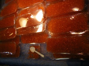 20091031 -�{���̏o�i��i�ł�-_48
