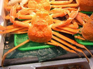 20091031 -�{���̏o�i��i�ł�-_51