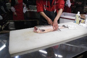 20091107 -���̂���񂿂��Ă�������-_10