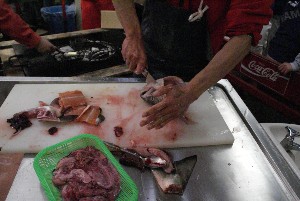 20091107 -���̂���񂿂��Ă�������-_20