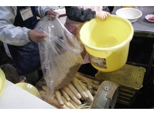 20091114 -�Ђ���������-_70