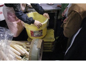 20091114 -�Ђ���������-_74
