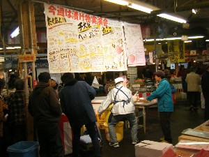 20091114 -�Ђ���������-_1