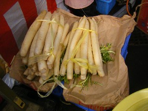 20091114 -�Ђ���������-_2