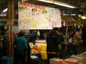 20091114 -�Ђ���������-_5