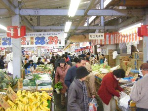 20091121 -���T�̔����ł�-_10